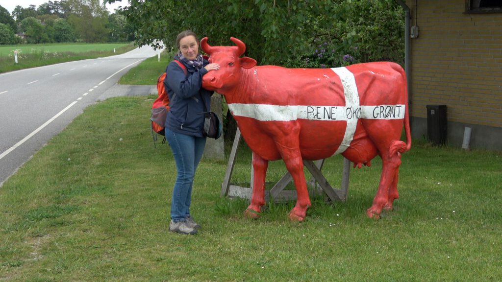 Die Kuh und ich